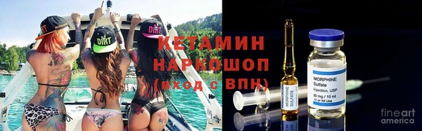 индика Алзамай