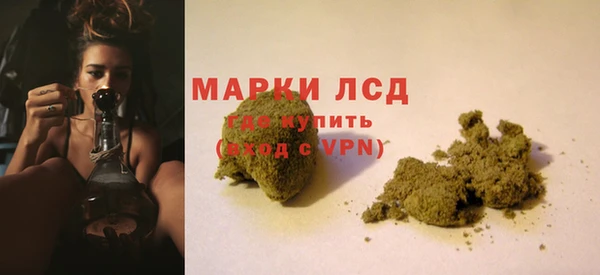 индика Алзамай