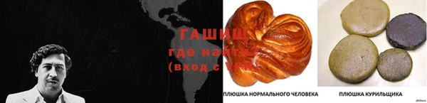 индика Алзамай