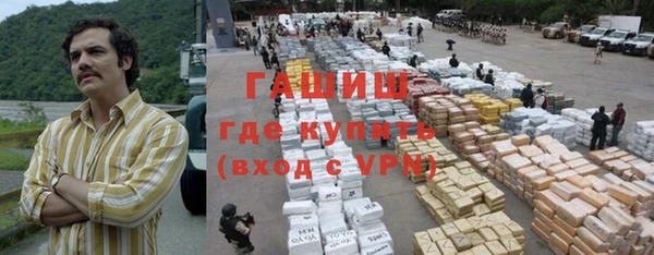 индика Алзамай