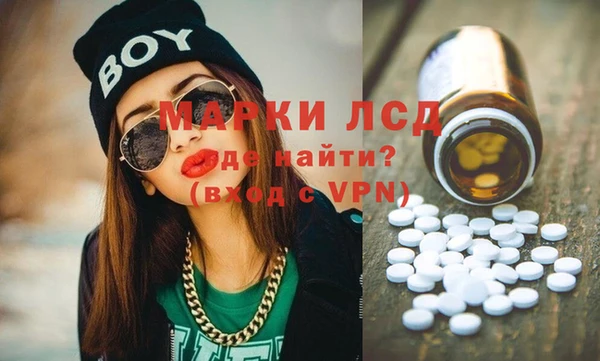индика Алзамай