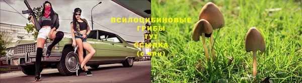 гашиш Алексеевка