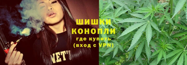 индика Алзамай