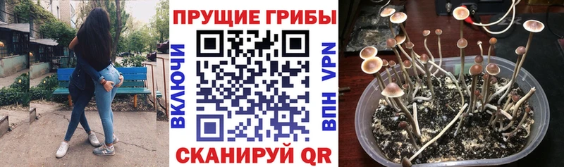 Псилоцибиновые грибы Magic Shrooms Слободской